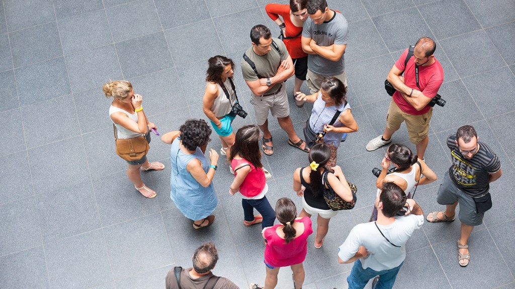 tourists around guide, top view